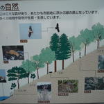 p1000324.jpg