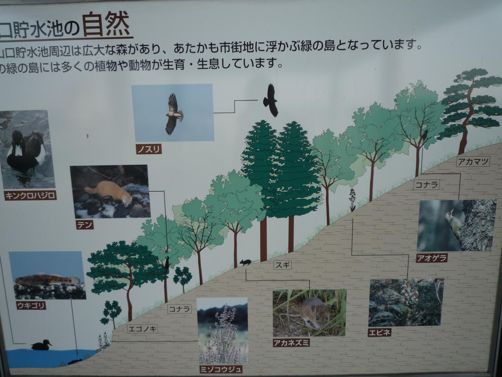 p1000324.jpg