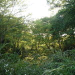 p1000325.jpg
