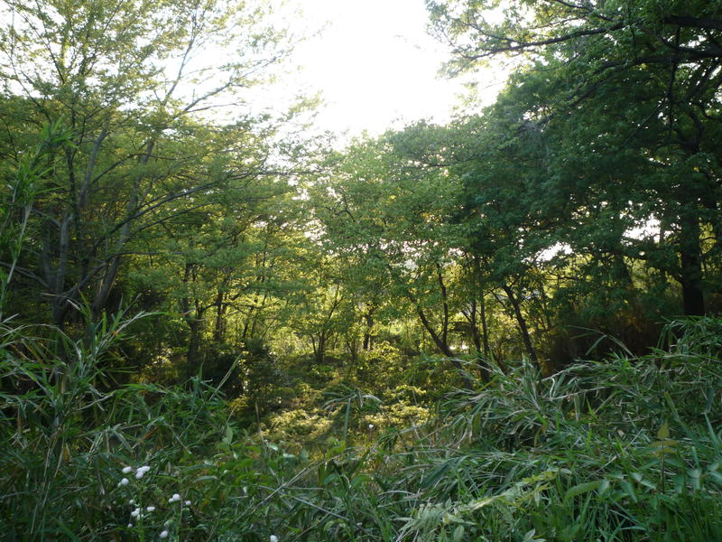 p1000325.jpg