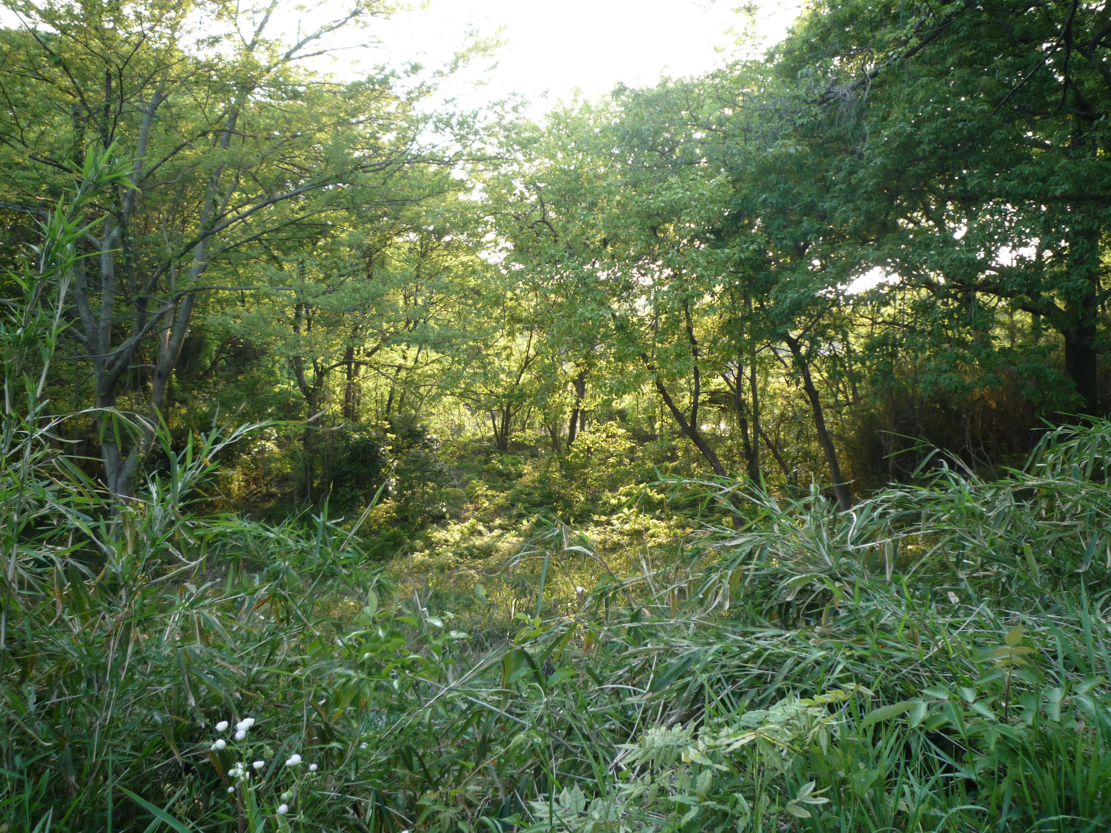 p1000326.jpg
