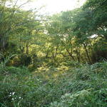 p1000326.jpg