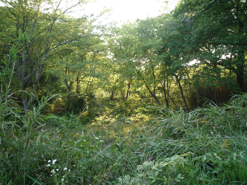 p1000326.jpg
