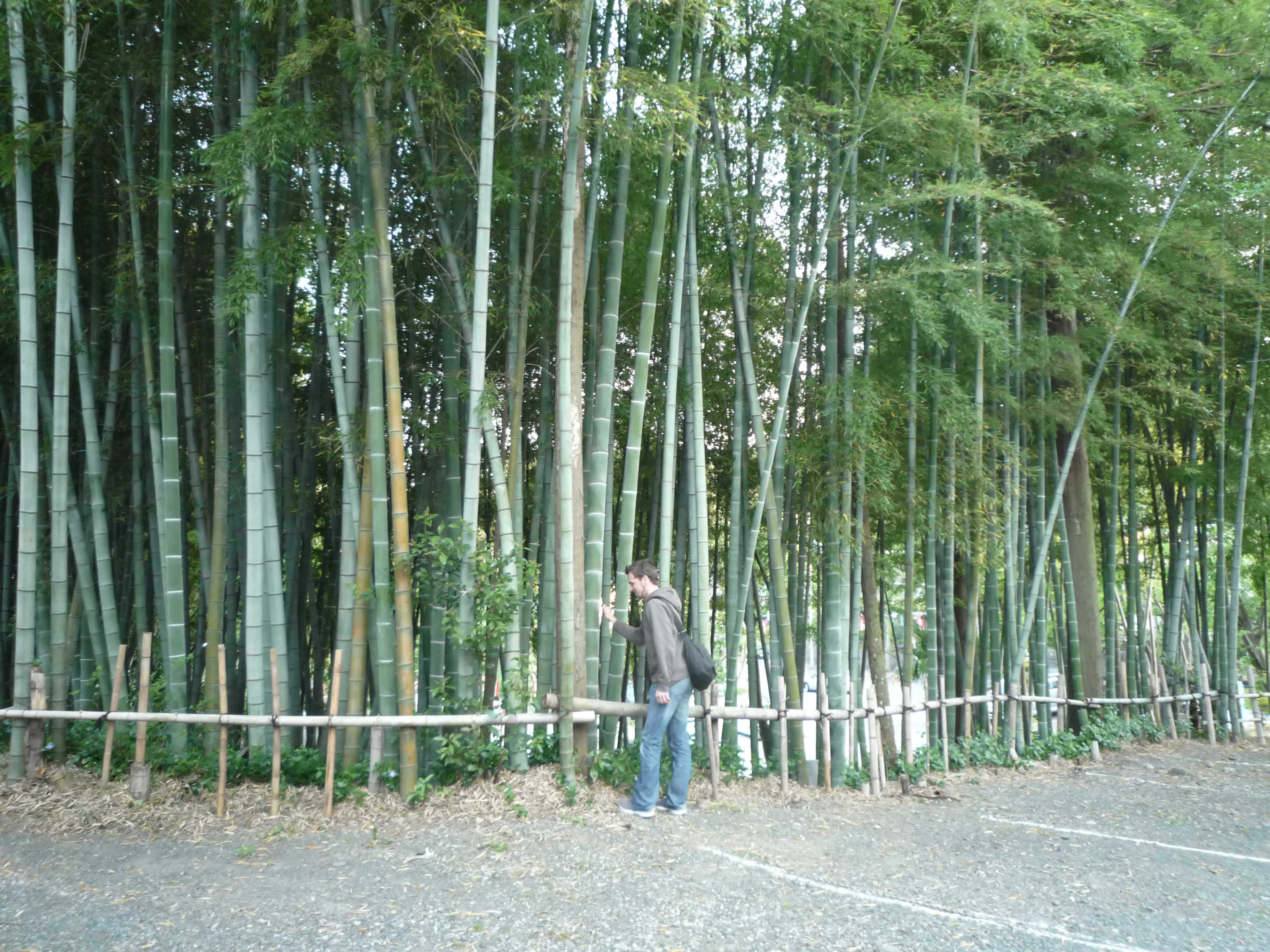 p1000328.jpg