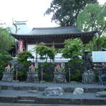 p1000329.jpg