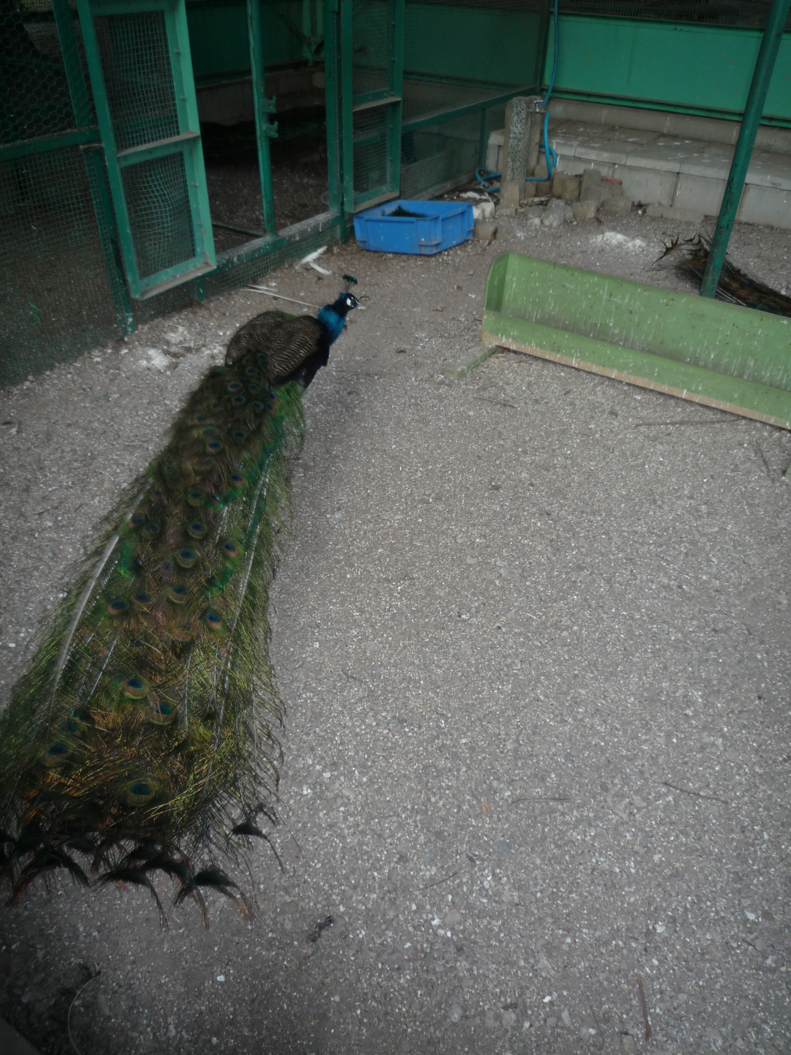 p1000334.jpg