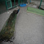 p1000334.jpg