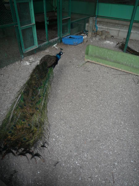 p1000334.jpg