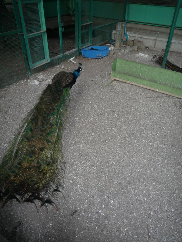 p1000334.jpg