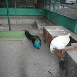 p1000335.jpg