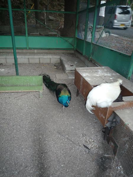 p1000335.jpg