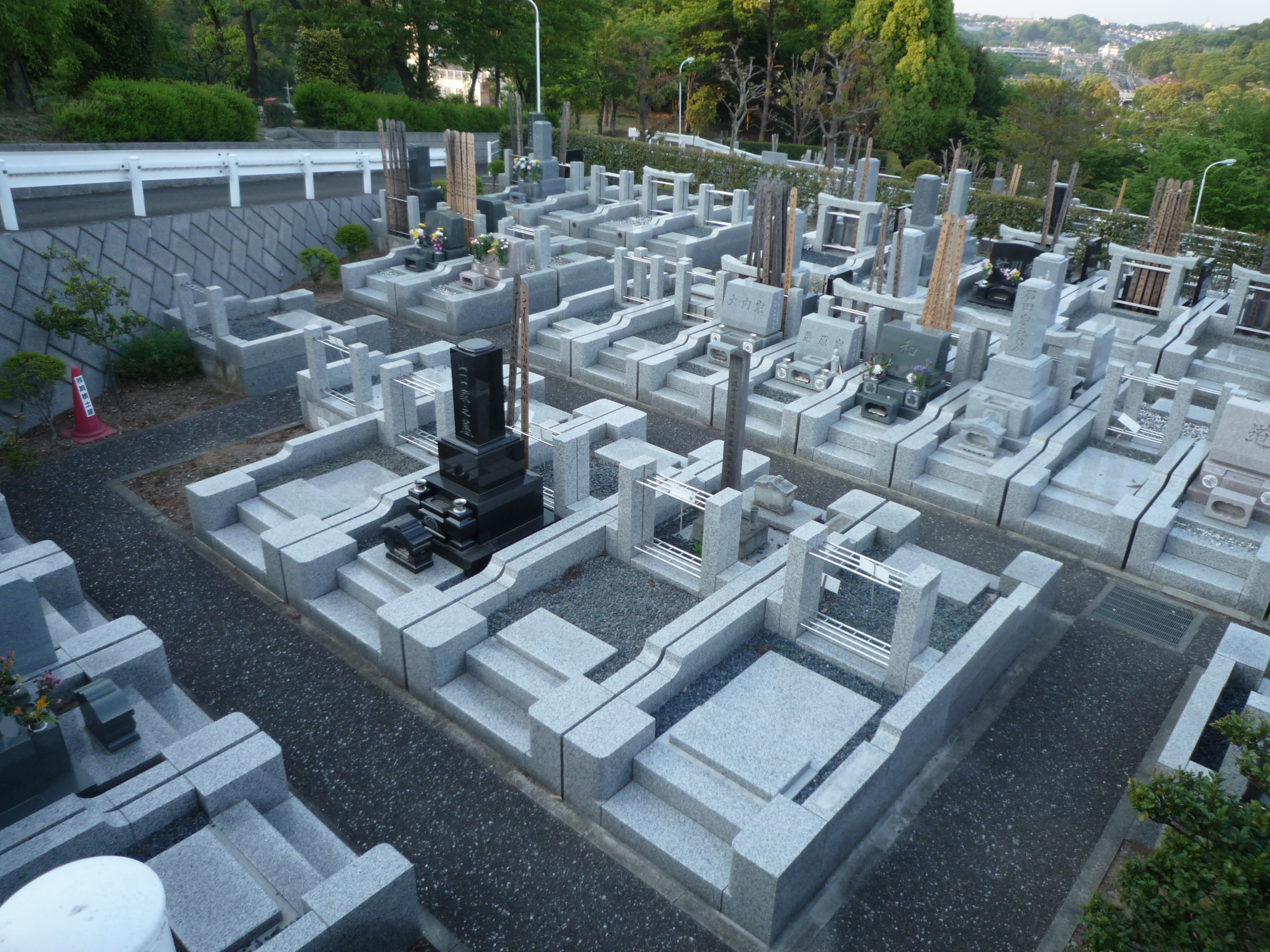 p1000336.jpg