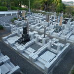p1000336.jpg