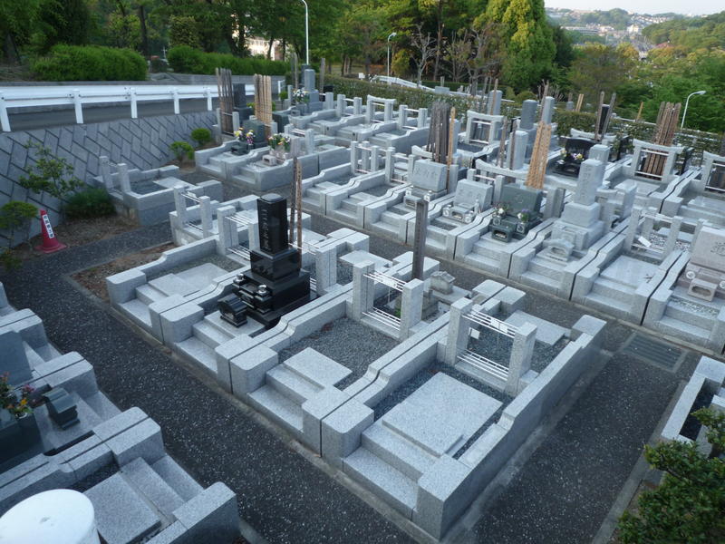 p1000336.jpg