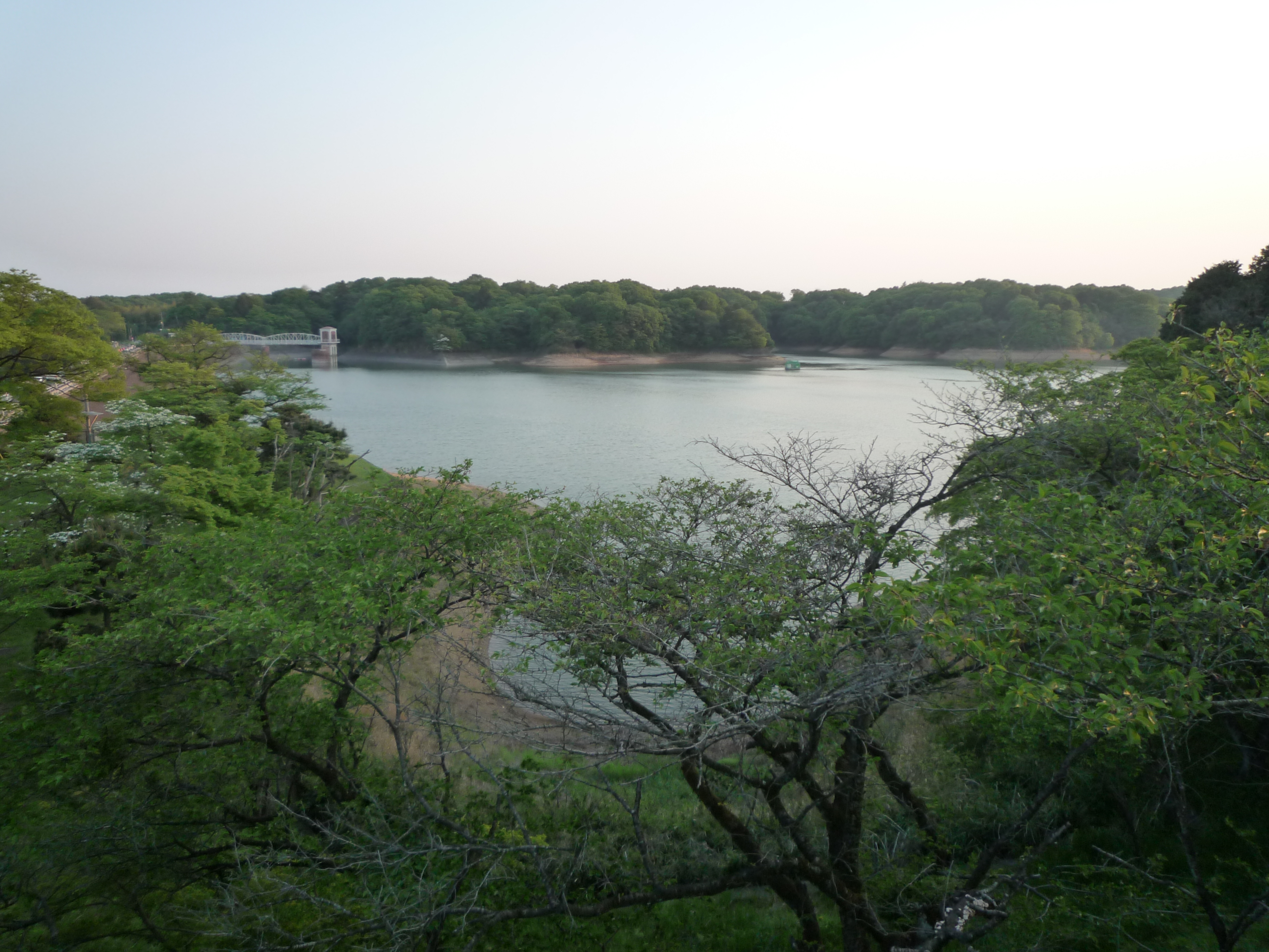 p1000337.jpg