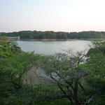 p1000337.jpg