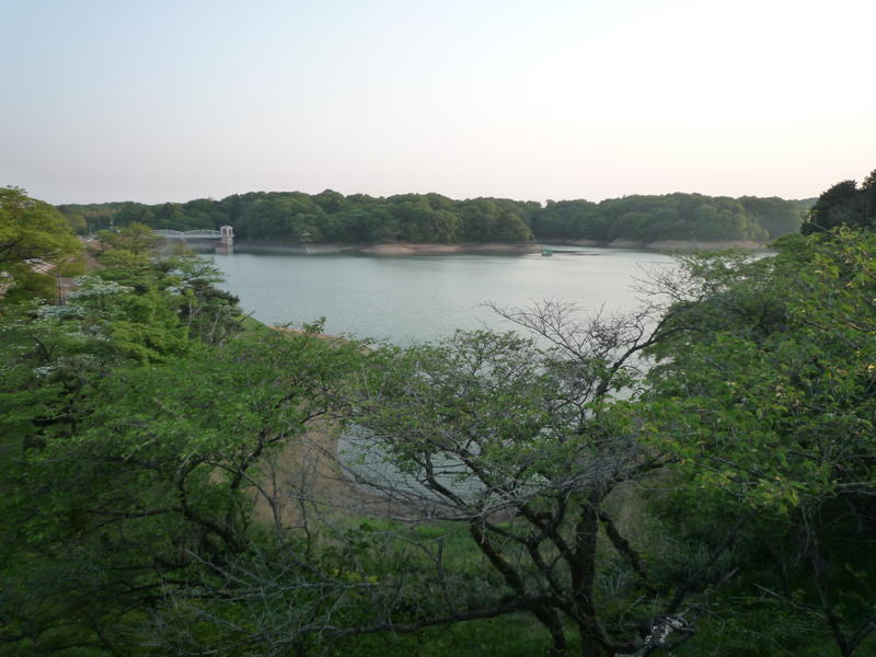 p1000337.jpg
