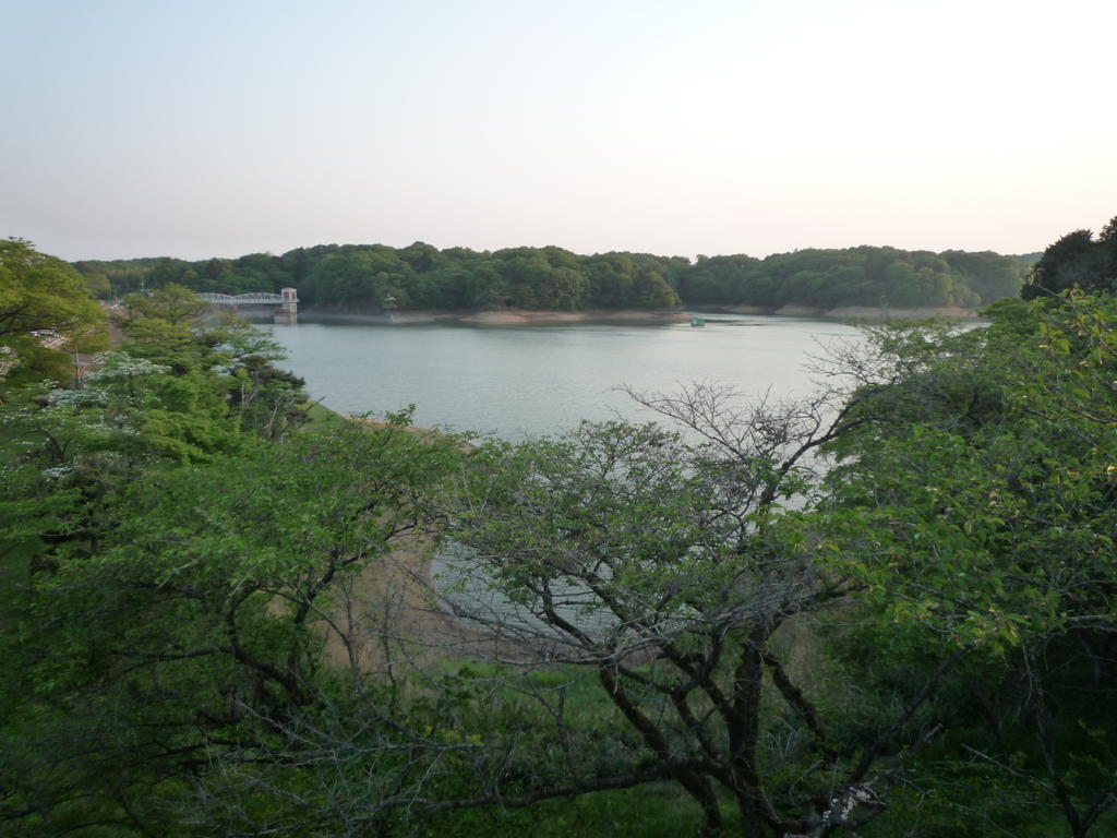 p1000337.jpg