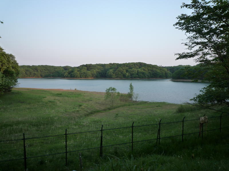 p1000339.jpg