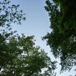 p1000341.jpg