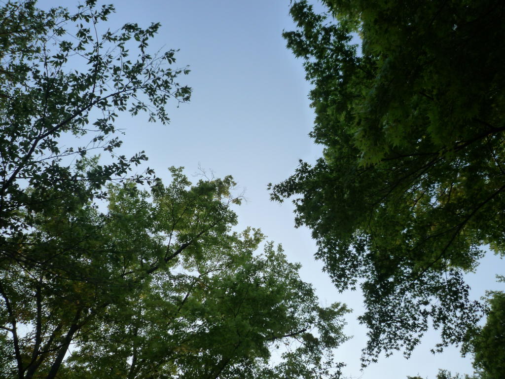 p1000341.jpg