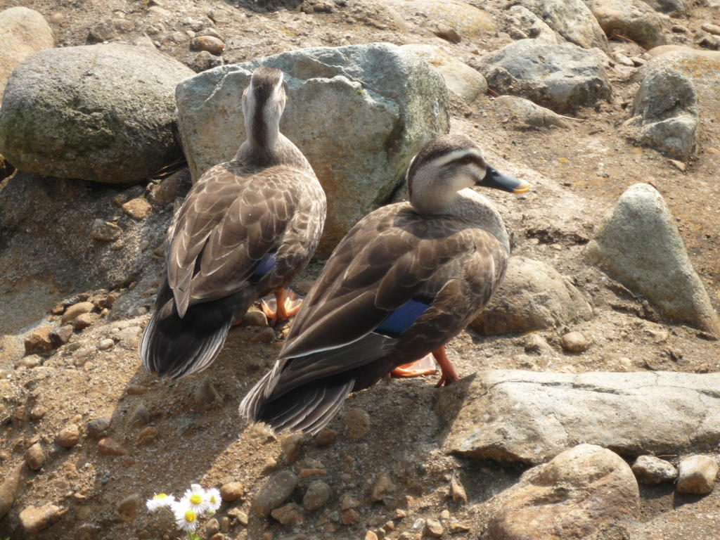 p1000624.jpg