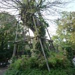 p1000630.jpg