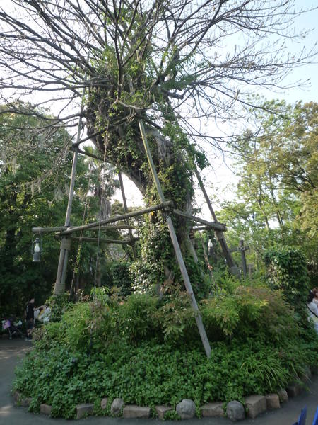 p1000630.jpg