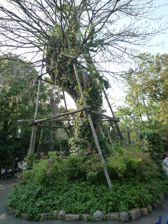 p1000630.jpg