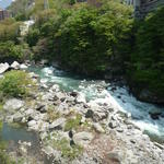 p1000350-1.jpg