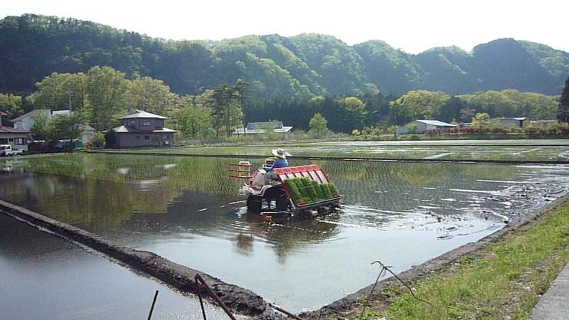 Une Machine à planter le riz