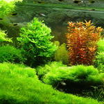 dsc001838lgyr4.jpg