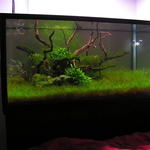 PICT0003-1.jpg