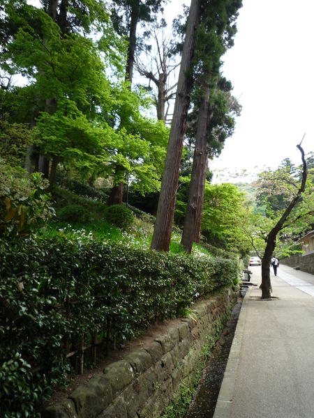 Temple de Engakuji