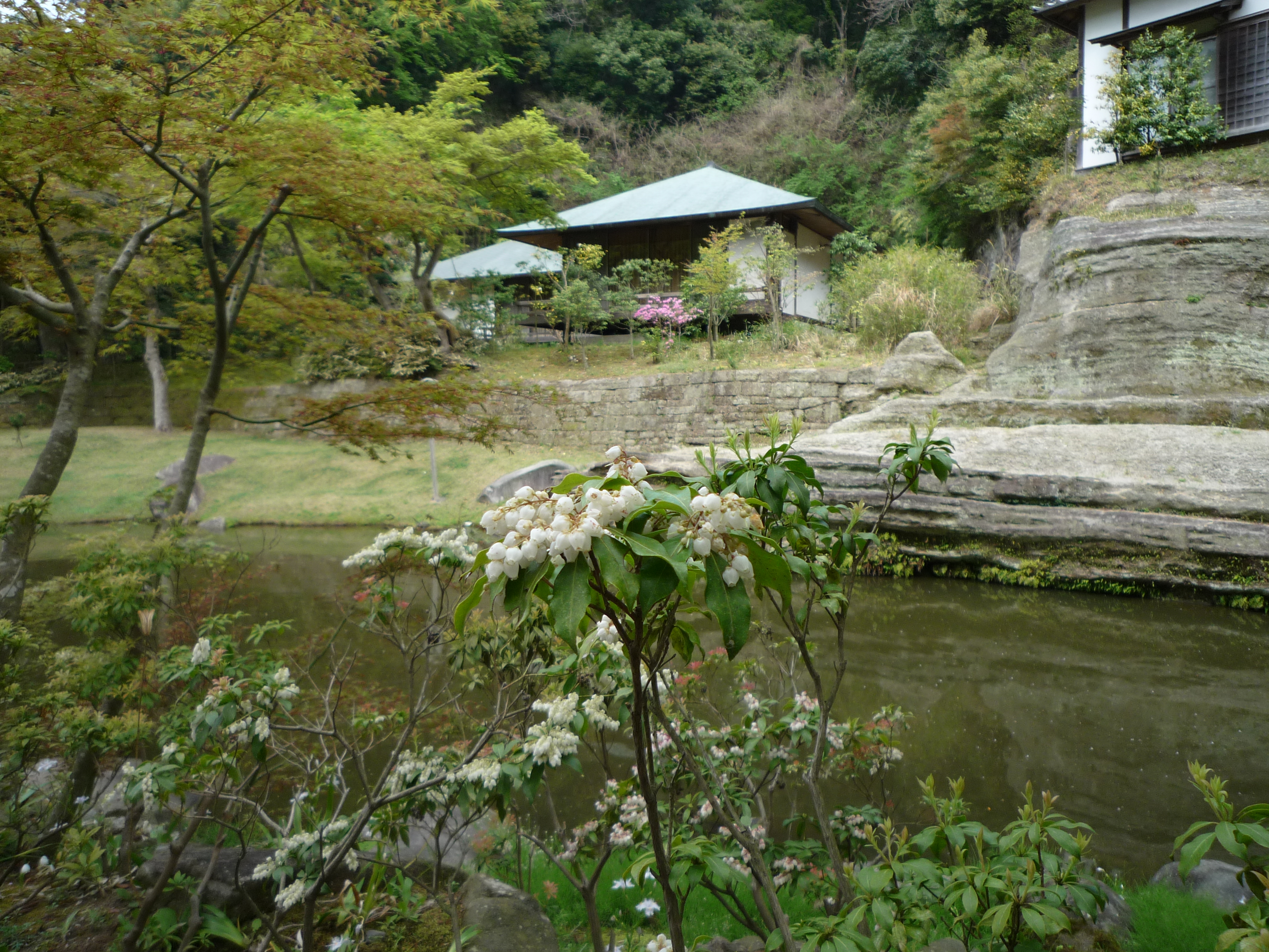Temple de Engakuji
