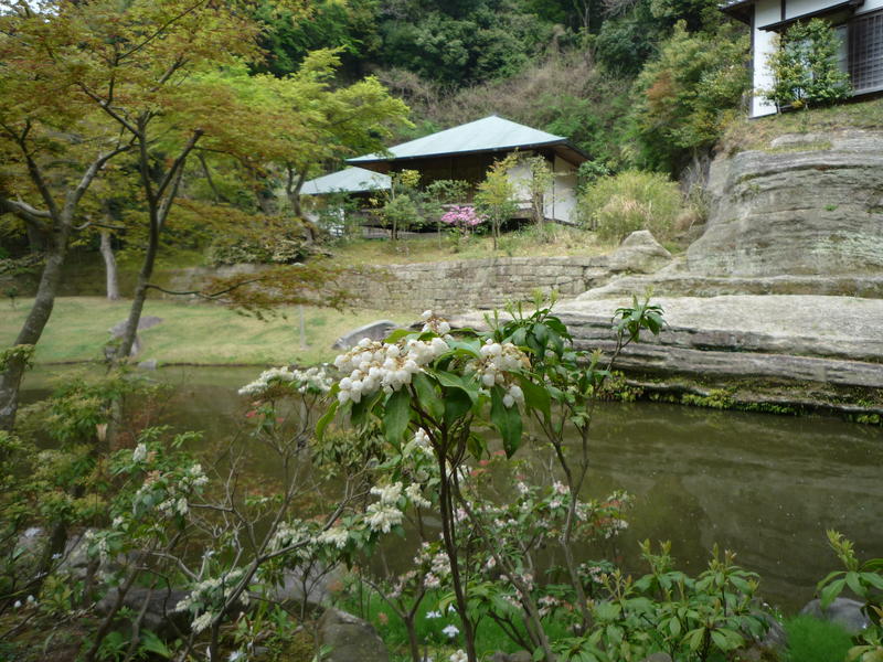 Temple de Engakuji