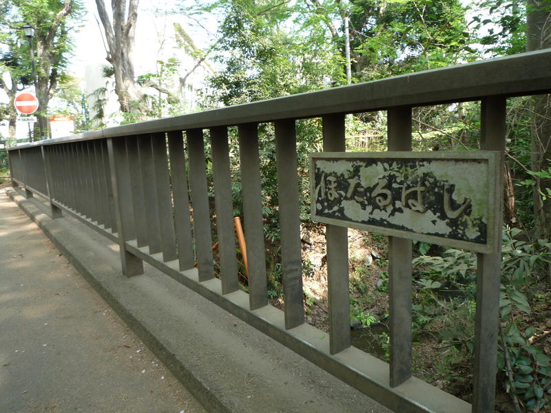 p1000061.jpg