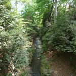 magnifique ruisseau en pleine ville