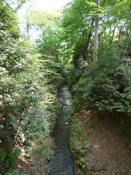 magnifique ruisseau en pleine ville