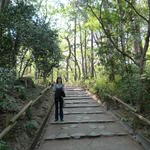 p1000063.jpg