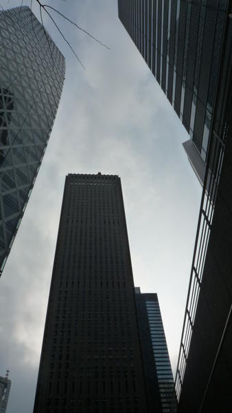 p1000188.jpg