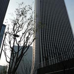 p1000190.jpg