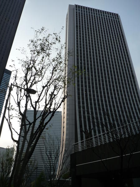 p1000190.jpg