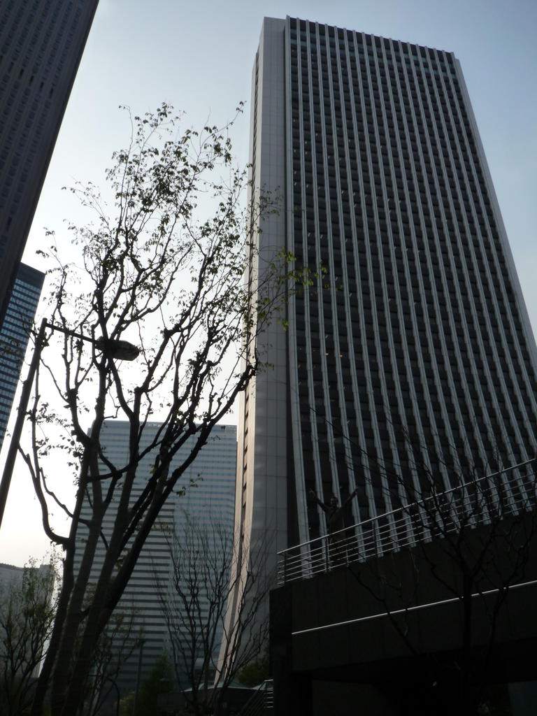 p1000190.jpg