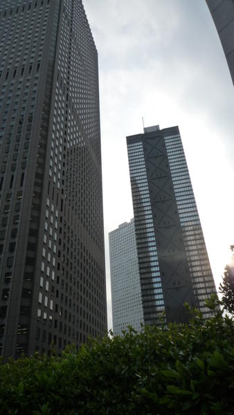 p1000198.jpg