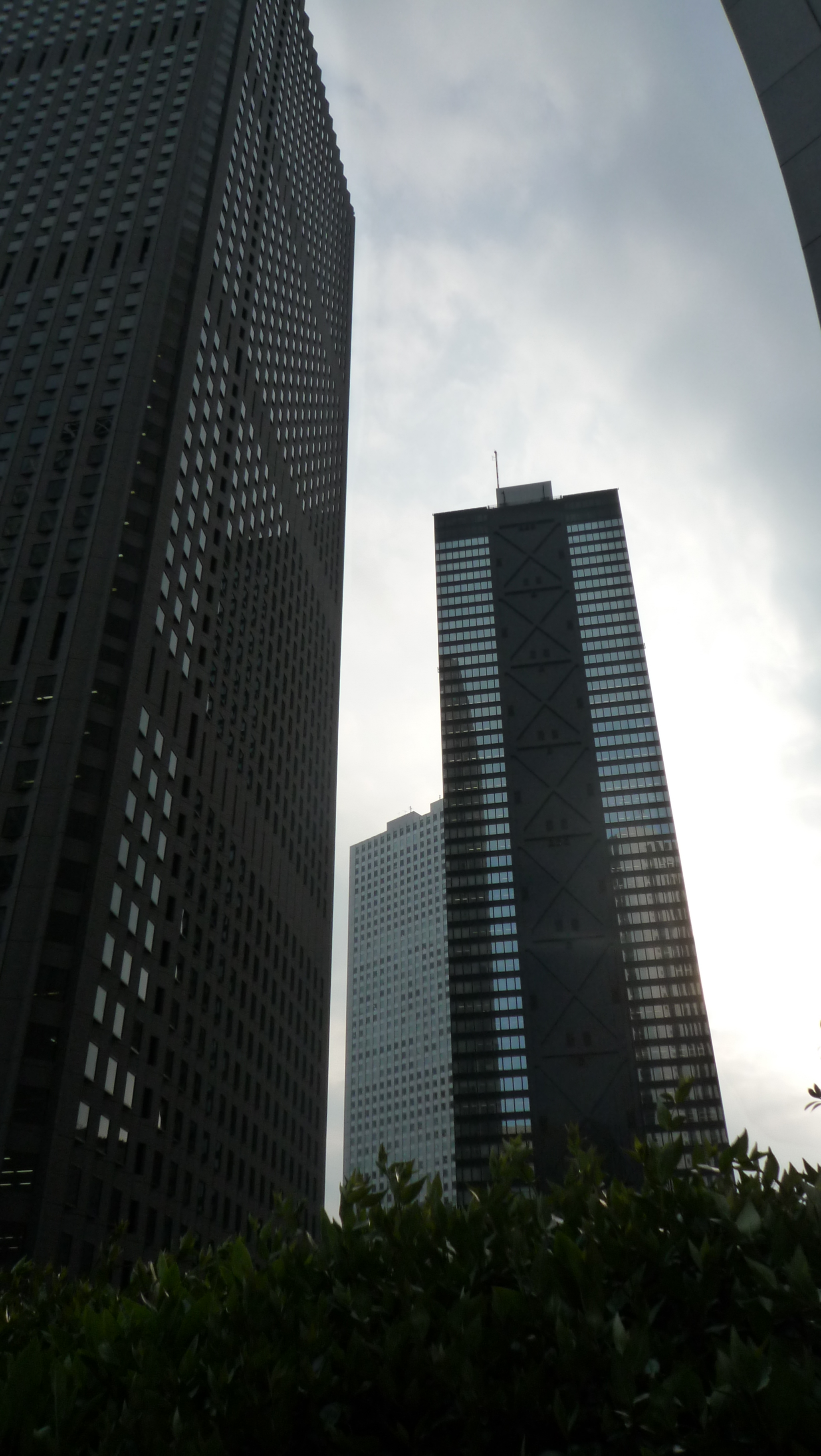 p1000199.jpg