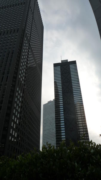 p1000199.jpg