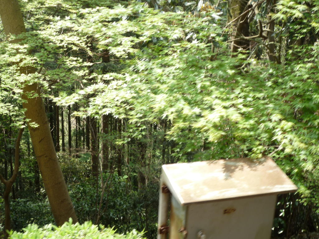 p1000158.jpg