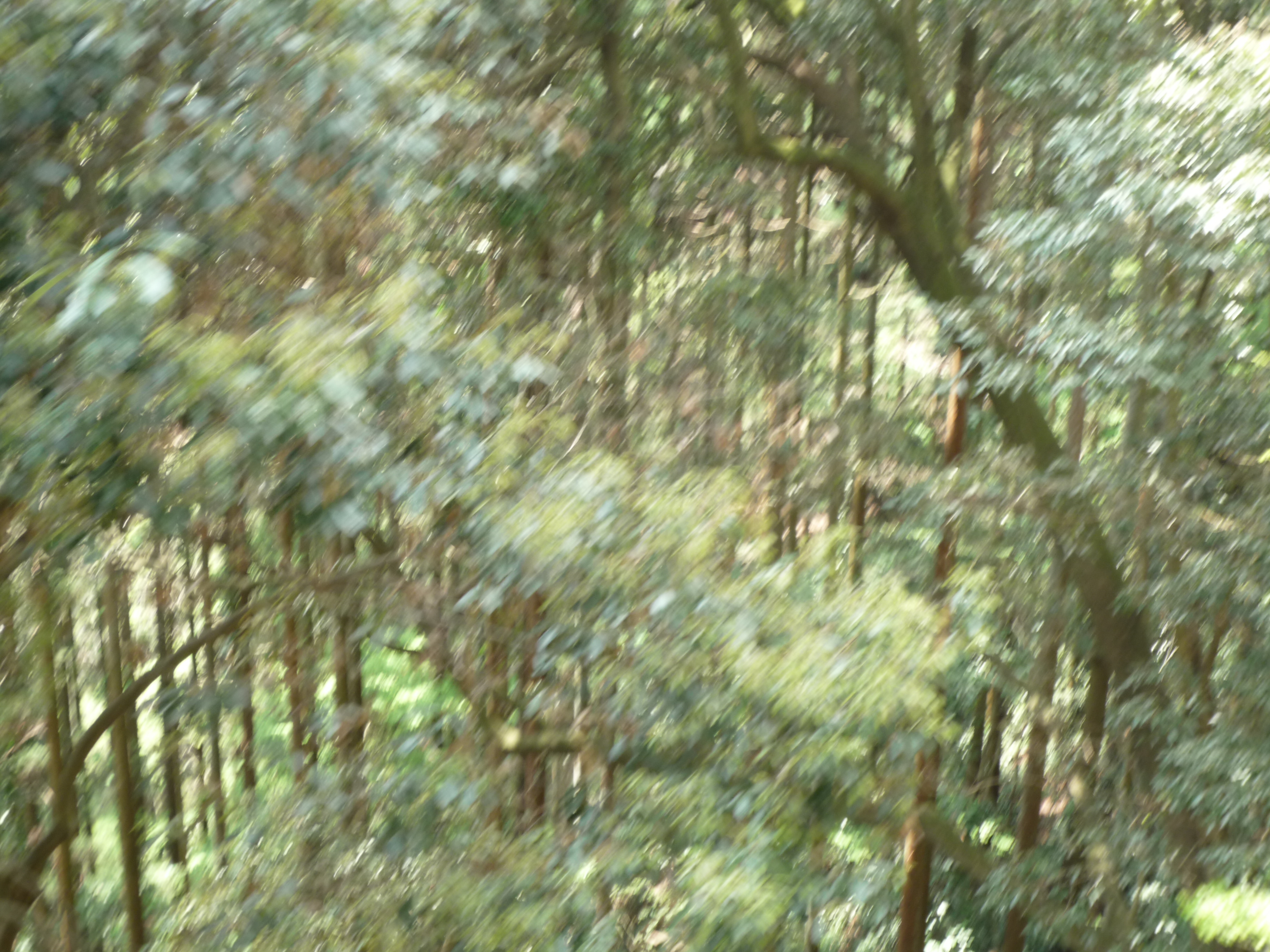 p1000159.jpg