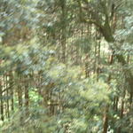 p1000159.jpg